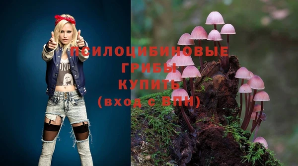 мяу мяу мука Бугульма